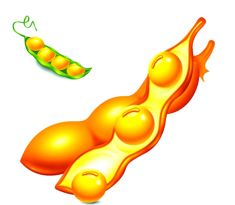 散裝毛油遭淘汰,高品質大豆油獲新生(圖1) 成套大豆油精煉設備布置圖