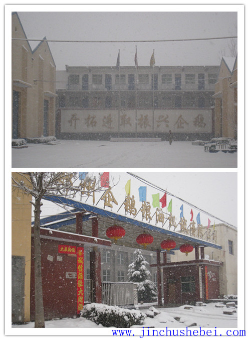 歡迎鄭州企鵝高層視察電商部工作(圖1) 浸出油設(shè)備,預(yù)榨浸出生產(chǎn)線,榨油設(shè)備,精煉設(shè)備