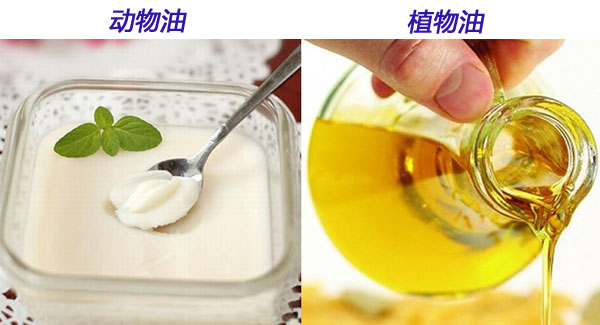 浸出油專家解析動植物油哪個更健康(圖1) 浸出油設(shè)備
