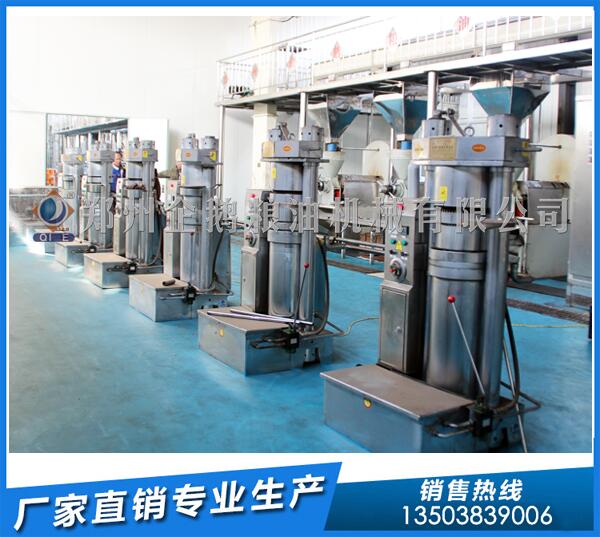 核桃油設備多少錢一套?企鵝糧油品質爭勝(圖1) 核桃油設備