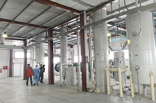 年關將至,鄭州企鵝喜迎埃塞俄比亞客戶!(圖1) 榨油生產線,榨油生產線哪家好,成套榨油生產線哪家好